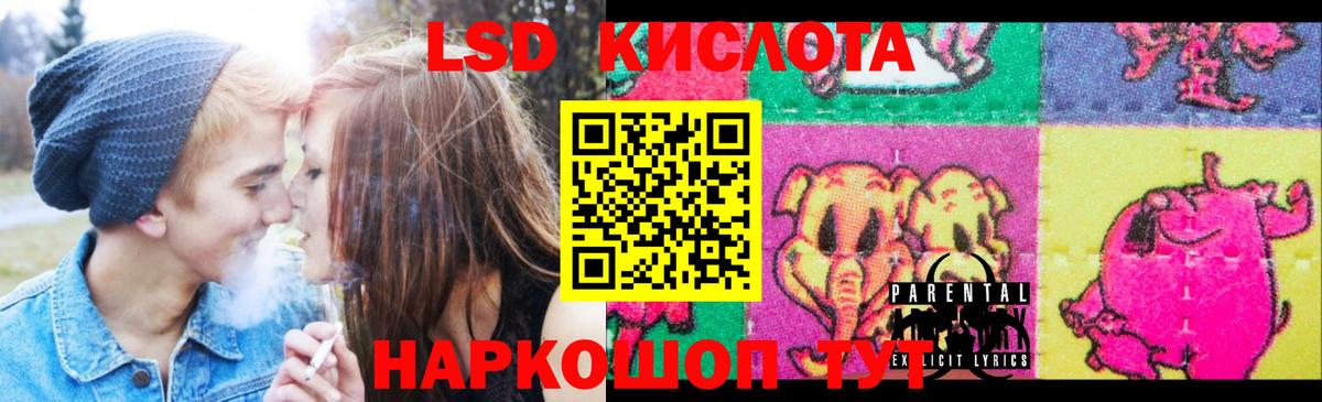 Альфа ПВП Будённовск