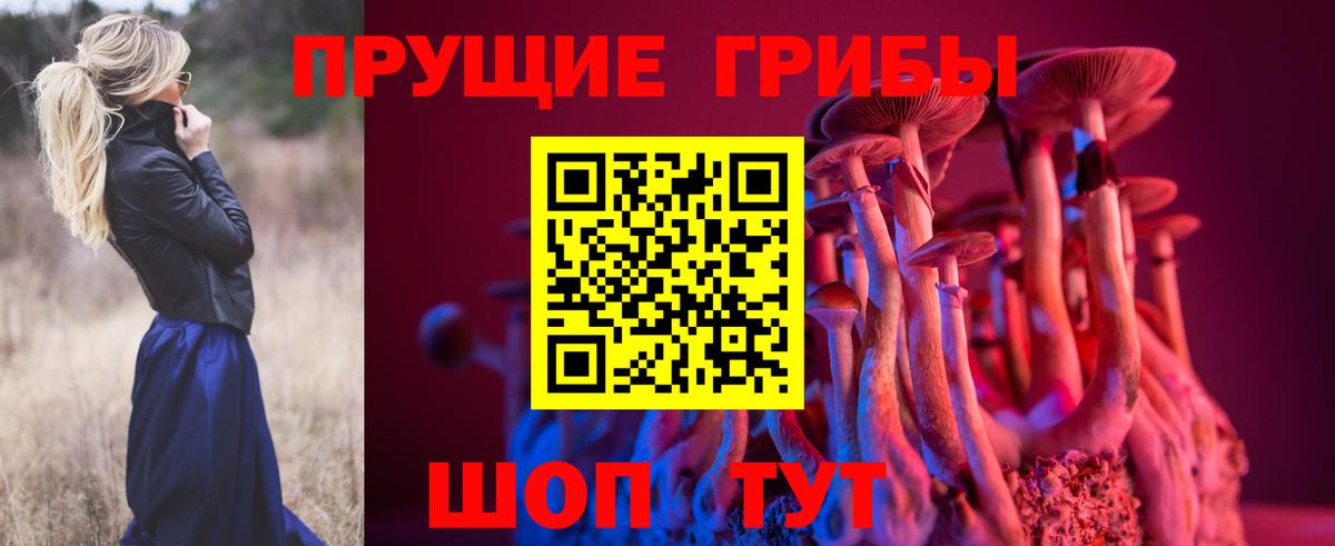 Псилоцибиновые грибы мухоморы  Вход с VPN  Псилоцибиновые грибы Psilocybine cubensis  Будённовск 